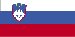 slovenian Georgia - Riigi nimi (Branch) (lehekülg 1)